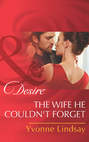 The Wife He Couldn\'t Forget