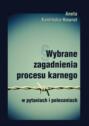 Wybrane zagadnienia procesu karnego w pytaniach i poleceniach