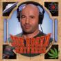 310 Joe Rogan Experience Review of Adam Curry aka The Pod Father Et al.