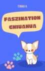 Faszination Chiuahua